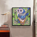 5D DIY Special Shaped Diamond Painting Owl Cross Stitch Mosaic Kit (R112)