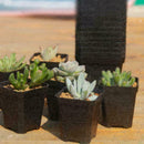 4 pcs Nice Square Deep Nursery Pots Black Plastic Plants Flower Pots on K2D S5N2
