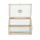 Vanity Clear Makeup Organizer Boxes Flower Holder Planter for Jewelry