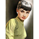 Full Drill Diamond Painting DIY Hepburn Rhinestone Picture Poster (WX623)