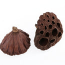 60pcs Natural Dried lotus pod Flowers Fruit for floral decor crafts DIY