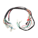 Electrics Wiring Harness Kit Wire Loom for ATV Quad 4 Four Wheelers 110cc 125cc