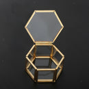 Glass Jewelry Organizer Display Case With Lid Plants Flower Holder Terrarium