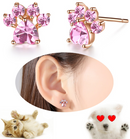 Paw Print Earrings Topaz Crystals Dangle Jewelry Dog Cat Horse Pig Animal Pets