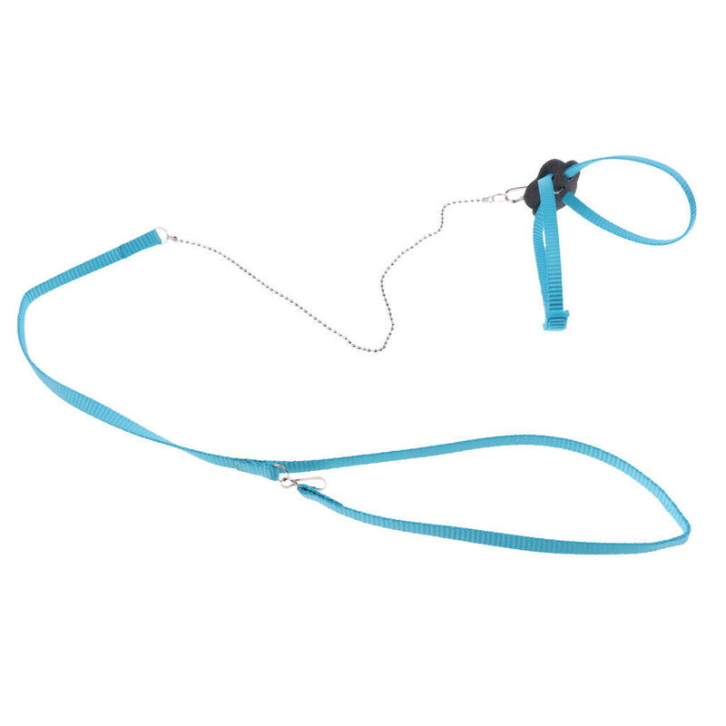 Reusable Parrot Fabric Nappies Bird Parrot Traction Leash Best Care to Pet Birds