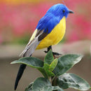 Small Artificial Bird Decorative Realistic Ornament in Feathers Deco Garden