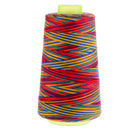 2Pc Colored Polyester Sewing Thread Spools 40s/2 for Clothing DIY Quilting Craft