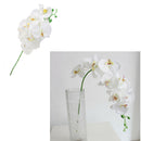 4x White Artificial Butterfly Orchid Silk Flower for Home Wedding Party 93cm
