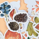 46pcs/lot Autumn Fallen leaves Plant Paper Diary Mini Cute box Stickers set 3C