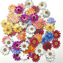 50pcs Wooden Buttons Sewing 2-holes Scrapbooking Button Crafts Flower Shape DIY