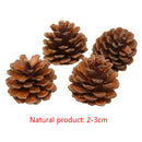 4Pcs Natural pine cones 2-3cm size quality pinecone florists crafts decorative U