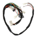 Wiring Harness Loom CDI Control Unit Coil Fit for Yamaha PY50 Dirt Bike New