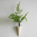 Cone Hanging Glass Flower Planter Vase Terrarium Container Home Garden Deco