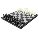 Magnetic Chess Set International Chess Educational Chess Set Entertainment  L1M7