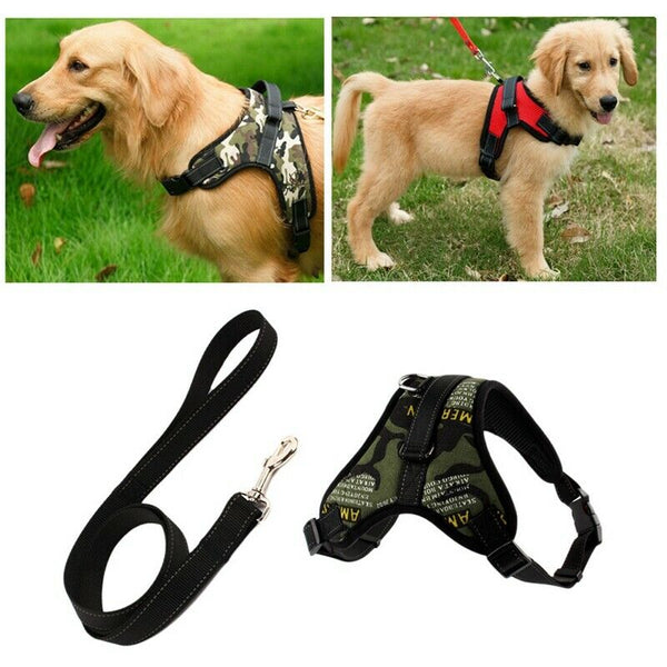 Dog Harness Leash Set Adjustable Breathable Dog Cat Collar Vest Harness for