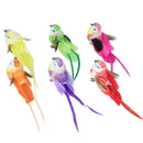 DIY mini craft birds artificial bird feather foam simulation bird home decor  JR