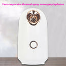 180ml Nano Face Mister Spray Facial Steamer Hydrating Moisture Beauty Tools