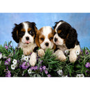 DIY Animal Cross Stitch 5D Full Drill Diamond Painting Wall Decor (C1402)