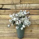 20Pcs 24 Inches Natural Dried Cotton Stem, Farmhouse Artificial Flower Fill Y8A7