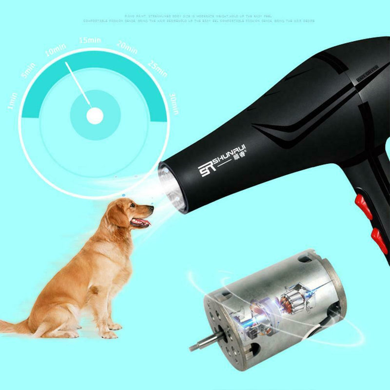 800W 3 Heat Setting 2 Speeds Anion Pet Hairdryer Cold Hot Air Hair Dryer Dry
