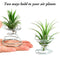 12 Pieces Air Plant Holder Air Plant Tabletop Container Stainless Steel Wir