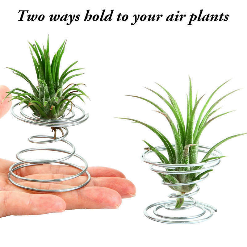 12 Pieces Air Plant Holder Air Plant Tabletop Container Stainless Steel Wir