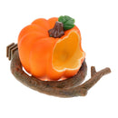 3 x Pumpkin Shape Food & Water Bird Cup, Plastic Feeding Dish Feeder for Parrot
