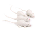 12 Plastic Mini Rats Mouse Animal Halloween Fancy Dress Props Toys Party Bag