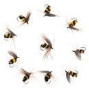 10pcs Bionic honeybee fly fishing bait Artificial Insect Bait Fishing Lures J â„–[