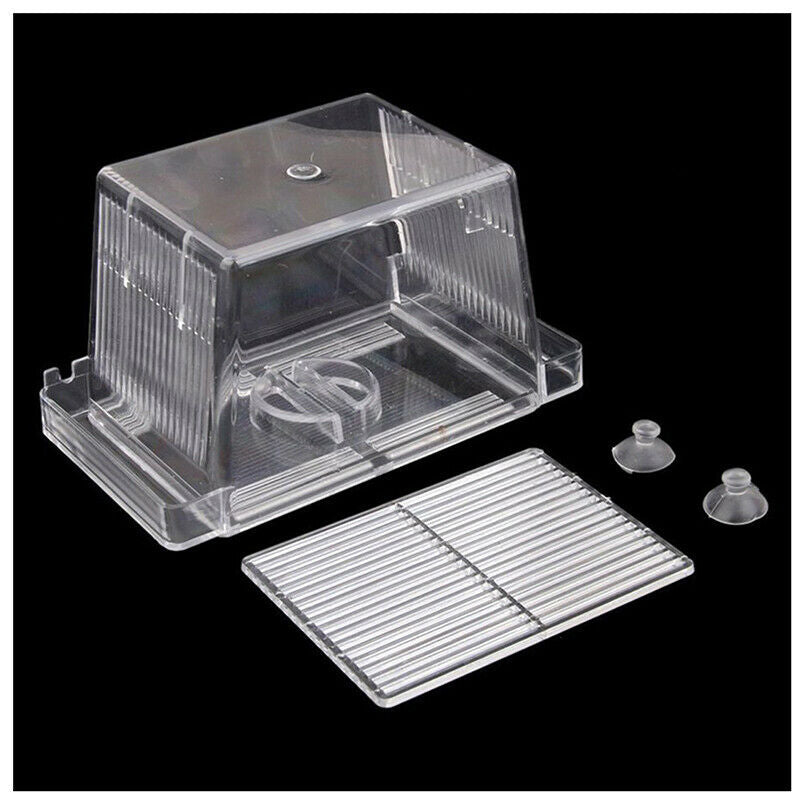 Breeding box self-isolation floating fish tank aquarium breeder case (Trans N5P6