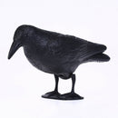 blackplastic hunting crow decoys garden bird deter scarecrow mice pest contro OZ