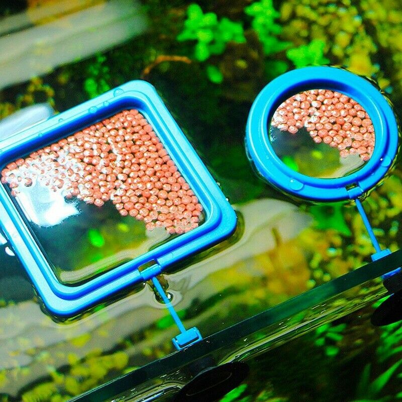 Aquarium Automatic Feeder Intelligent Timing Automatic Feeding Device Aquar