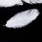 20 x natural ostrich feather 25-30cm white decoration festivities Y3Q7