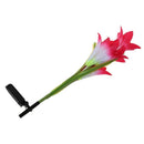Solar Power 4 LED Garden Light Yard Path Landscape Lily Flower