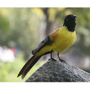 Pair Artificial Realistic Woodland Birds Garden Weding Party Home Decor