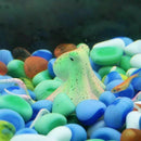 Fluorescent silicone Octopus Decorations With Cup Sucker for Green Aquarium