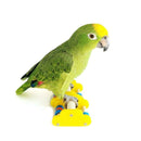 Parrot Underfoot Education Toys Mini Skateboard Training Bird Ice Skates Ro Q9E9