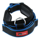 Pet Dog Collar Neck Belt with Adjustable Strap Dog Cat Pet Accessories Blue
