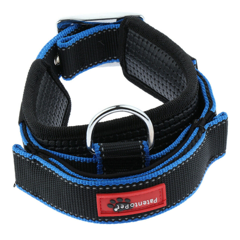 Pet Dog Collar Neck Belt with Adjustable Strap Dog Cat Pet Accessories Blue