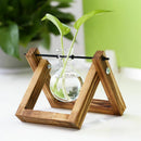Wooden Stand Transparent Glass Plant Containers Standing Hydroponics Plant  V4I3