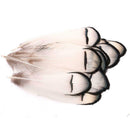 100pcs Beautiful Natural Feather Plume Christmas Holiday Decor New WYL