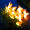 LED Solar Light Strings for Party Decor Bee Shaped Waterproof Night Outdoor Lamp