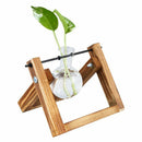 Wooden Stand Transparent Glass Plant Containers Standing Hydroponics Plant  V4I3