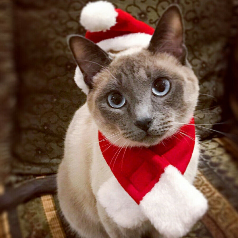 Christmas Pets Clothes Santa Hat Scarf Cloak Cat Dog Xmas Festival Costumes A