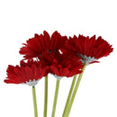 5 pieces of artificial flowers Gerbera Gaensebluemchen Red P6Y4