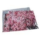 Blossoms In Central Park Cherry Bloom Trees Forest Spring Springtime Landsc D5W7