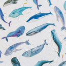 30pcs/box Whale Fish paper bookmark stationery book holder message c 3C