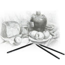 Woodless Charcoal Pencils, 6 Piece. Features Hard Grades of Charcoal Artist Kids