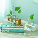Tabletop Glass Terrarium for Hydroponics Plants Home Decor-White