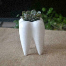 Tooth Shape White Ceramic Flower Pot Modern Design Decor Teeth Desktops Pla J7A6